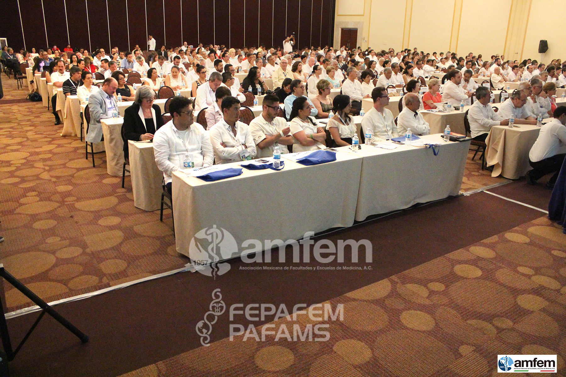 IMG_0040 copia.jpg
